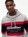 Gri TH x Cadillac Formula 1® Team Hanorac  Unisex