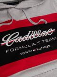 Gri TH x Cadillac Formula 1® Team Hanorac  Unisex