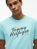 Blue Logo Graphic Crew Neck T-Shirt  Men