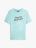 Blue Logo Graphic Crew Neck T-Shirt  Men