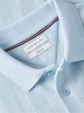 Blue Regular Fit Tonal Stripe Polo Shirt  Men