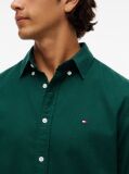 Verde Camasa Button-Down Cu Croiala Regular  Barbati