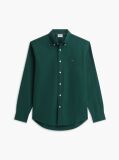 Verde Camasa Button-Down Cu Croiala Regular  Barbati