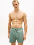 Green Original Ithaca Stripe Mid Length Swim Shorts  Men