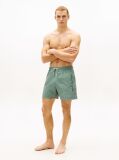 Green Original Ithaca Stripe Mid Length Swim Shorts  Men