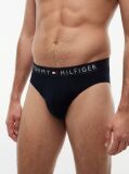 Blue 3-Pack Slipuri TH Original  Barbati