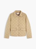 Beige Padded Slim Quilted Jacket  Women