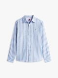 Multi Regular Fit Stripe Linen Blend Shirt  Men