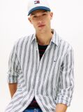 Multi Regular Fit Stripe Linen Blend Shirt  Men