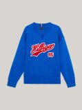 Blue Script Logo Terry Jumper  Boys