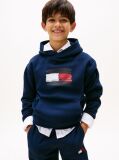 Blue Hanorac Cu Gluga Si Emblema Steag Hilfiger  Baieti