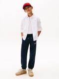 Blue Pantaloni Jogger Regular Cu Emblema Steag Hilfiger  Baieti
