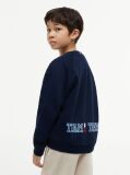 Blue Pulover Brodat Cu Steag Si Cusaturi Accentuate  Baieti