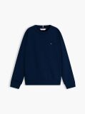Blue Pulover Brodat Cu Steag Si Cusaturi Accentuate  Baieti