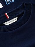 Blue Pulover Brodat Cu Steag Si Cusaturi Accentuate  Baieti