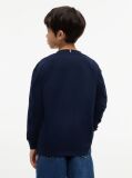 Blue T-Shirt Cu Maneca Lunga Si Logo  Baieti