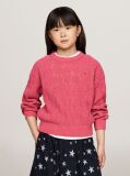 Rosu Pulover Chenille Relaxed Cu Tricot Perforat  Fete