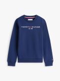 Blue Hanorac cu logo esențial  Copii unisex