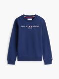 Blue Hanorac cu logo esențial  Copii unisex