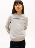 Grey Hanorac cu logo esențial  Kids Unisex