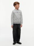 Grey Hanorac cu logo esențial  Kids Unisex