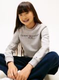 Grey Hanorac cu logo esențial  Kids Unisex