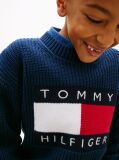 Blue Heritage Flag Chunky Knit Jumper  Boys