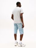 Gri Tricou Crew Regular Fit  Barbati