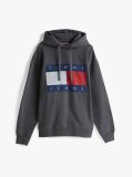 Gri Hanorac Relaxat Cu Gluga Tommy Flag Badge Mélange  Barbati