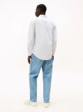 Multi Slim Stripe Oxford Shirt  Men