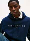 Blue Regular Logo Hoody  Men