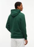 Verde Hanorac Regular Cu Logo  Barbati