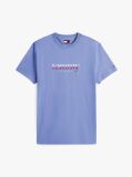 Blue Logo Jersey Crew Neck T-Shirt  Men