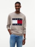 Brown Regular Tonal Flag Crew Neck Sweatshirt  Men