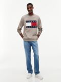 Brown Regular Tonal Flag Crew Neck Sweatshirt  Men