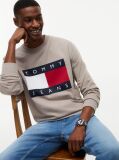 Brown Regular Tonal Flag Crew Neck Sweatshirt  Men