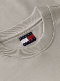 Brown Regular Tonal Flag Crew Neck Sweatshirt  Men