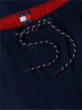 Blue Pantaloni Theo Cu Cordon De Strangere Si Model Parasuta  Barbati