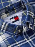 Multi Regular Fit Check Brushed Flannel Shirt  Men