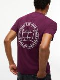Rosu T-Shirt Din Jerseu Cu Steag Undulat Pe Spate  Barbati