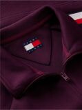 Purple Global Stripe Crest Track Jacket  Women
