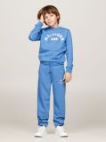 Blue Hilfiger Monotype 1985 Collection Sweatshirt  Boys