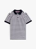 Blue Essential Flag Embroidery Regular Fit Polo  Boys