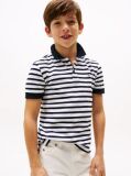 Blue Essential Flag Embroidery Regular Fit Polo  Boys