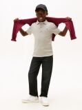 Grey Essential Flag Embroidery Regular Fit Polo  Boys