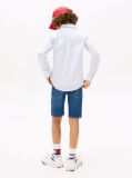 Blue Flex Ithaca Stripe Shirt  Boys