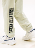 Verde Pantaloni Jogging Regulari Cu Broderie Varsity  Baieti