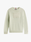 Verde Pulover Cu Signature Logo Steag Tonal  Baieti