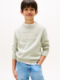 Verde Pulover Cu Signature Logo Steag Tonal  Baieti