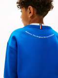 Blue Hanorac Cu Patch  Baieti